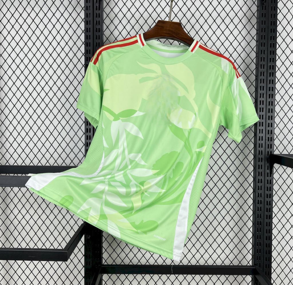 Maillot de football Italie 2025/2026 Women